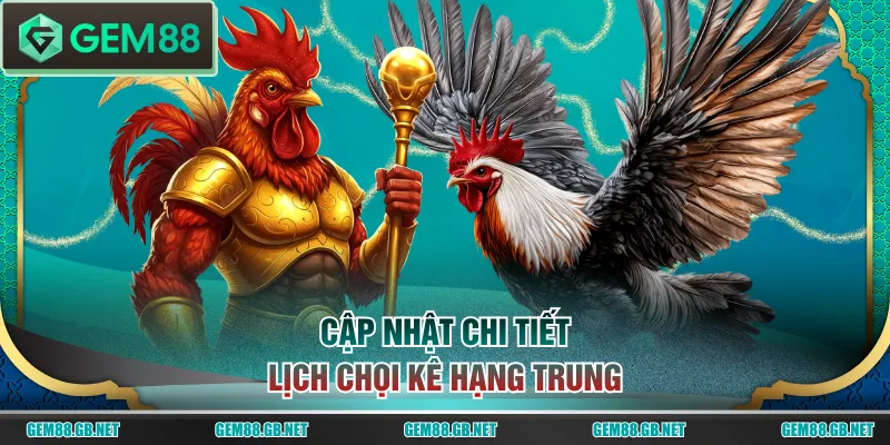 Cập nhật chi tiết lịch chọi kê hạng trung