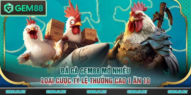 Đá gà GEM88 mở nhiều loại cược tỷ lệ thưởng cao 1 ăn 10